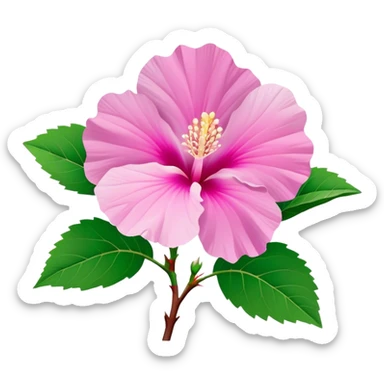 Cinematic Realistic image of a Mugunghwa flower (Rose of Sharon), rendered with delicate petal textures and vibrant pink hues, set against a minimalist background with gentle, diffused lighting that highlights its national significance sticker