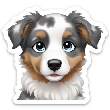 merle australian shepherd puppy with blue eyes sticker