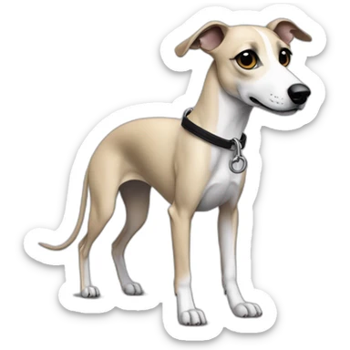 a beige whippet sideways with his left foot raised up up and a leash going out of frame, with a dark snout, black and white mouth patchy and black angel wing like eyes sticker