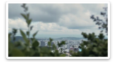 A cinemaatic still of a city, blurred plants in the foreground, whales fly above city sky, rolling hills in the background, cinematic depth of field, layered composition, natural lighting sticker