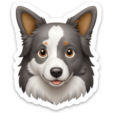 A border collie dog with grey and white fur and brown eyes straight ears  sticker