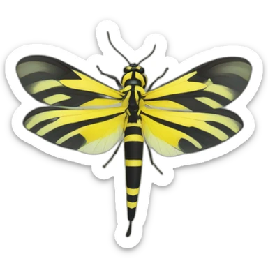 Yellow banded leucomelas sticker