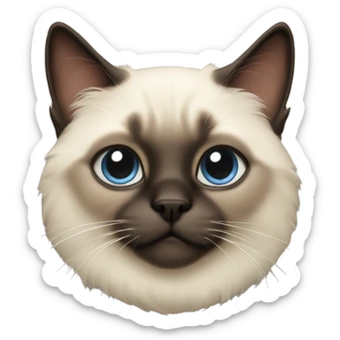 fluffy siamese cat  sticker