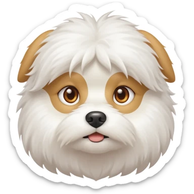 Bichon maltes sticker