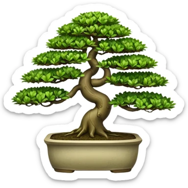 bonsai tree ficus sticker
