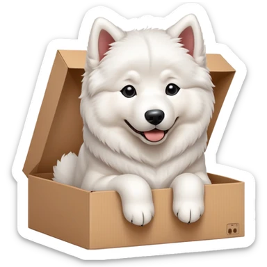  A very cute young Samoye  with one's head tilted to one side poked its paws out of the cardboard big box and placed them on top of it sticker