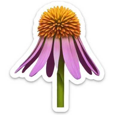 cone flower sticker