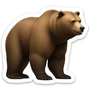 Bear sticker