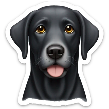 realistic black lab with a scruffy grey beard and eyebrows sticker