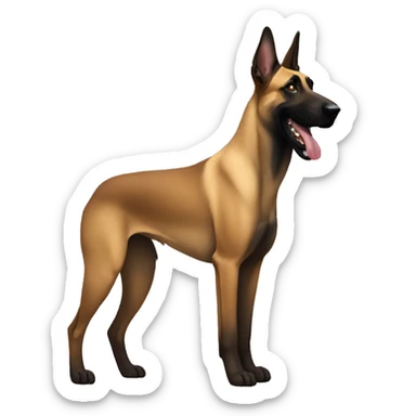 belgian malinois  sticker