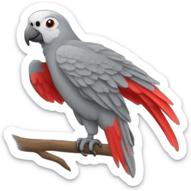 Gray parrot red tail sticker