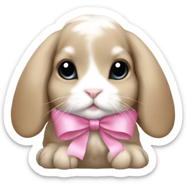 Tan and white baby holland lop wth a pink bow sticker
