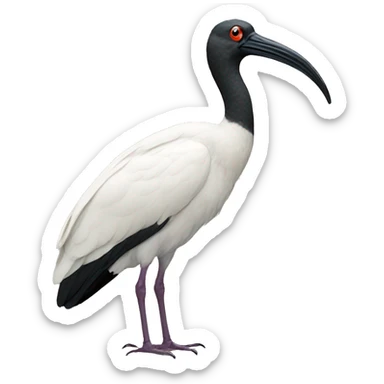 northern bed ibis sticker