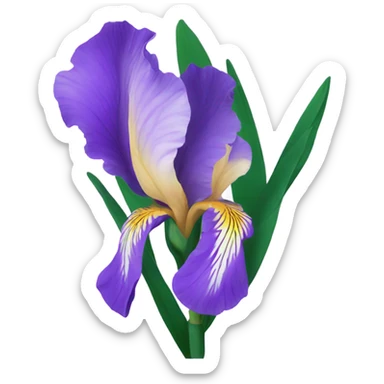 Purple Iris flower sticker