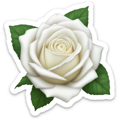 white rose sticker