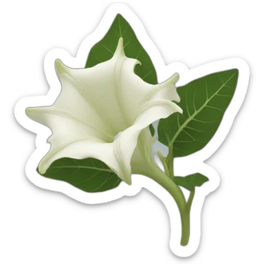 datura plant sticker
