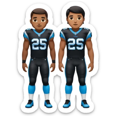 Panthers nfl team sticker