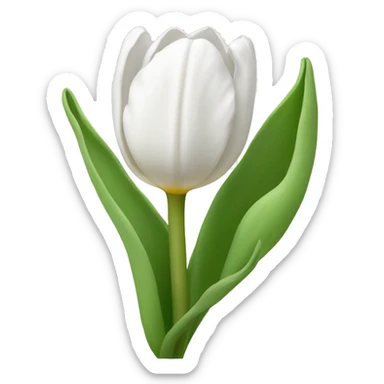 White tulip  sticker