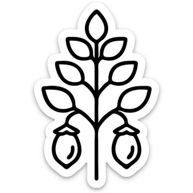 a chickpea plant with pods, line art style, black outlines, minimalistic sticker