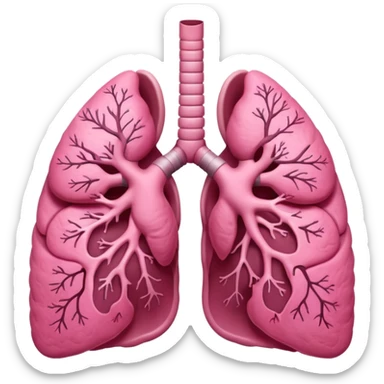 lungs sticker