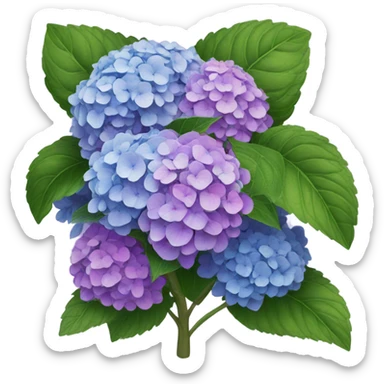 Hydrangea bush sticker