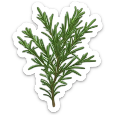  rosemary plant sticker