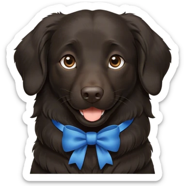 Black, flat-coated retriever, smooth fur with subtly fluffy ears, smiling face, blue bow around the neck, brown eyes  sticker