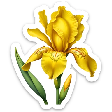 single Bright Yellow Iris, straight stem sticker
