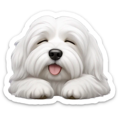 Coton de tulear dog sleeping sticker
