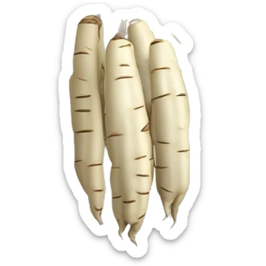 cassava with long tuberous edible roots and soft brittle stems; used especially to make cassiri (an intoxicating drink) and tapioca sticker