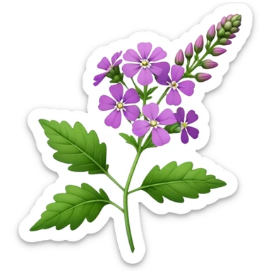 Verbena flower, leaf,bud, stalk sticker