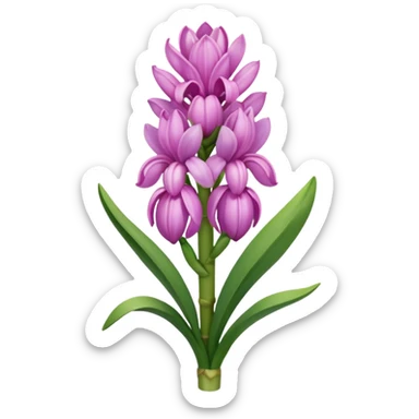 a light margenta  Hyacinth sticker