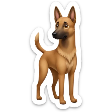 Belgian malinois dogs sticker