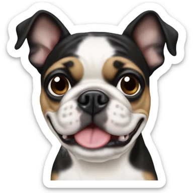 Boston terrier pug mixed breed sticker