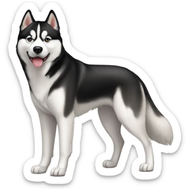 Dog Siberian Husky full-height sticker