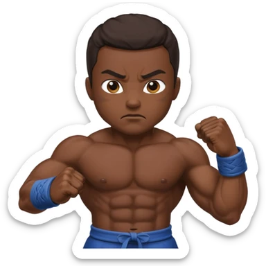 Street fighter  hatogit sticker