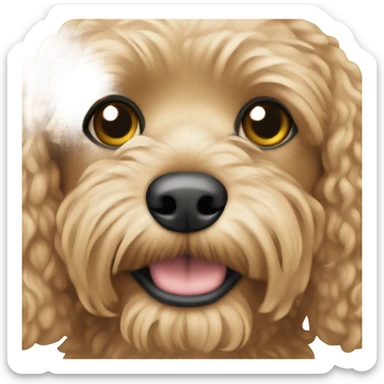 Small cavapoo dog beige coloured sticker