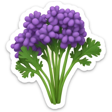 purple parsley sticker