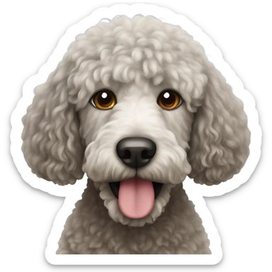Spanish water dog sticker