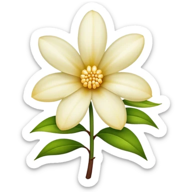 Vanilla flower  sticker