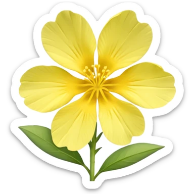 Evening primrose sticker