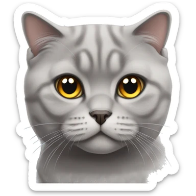 grey scottish fold cat sticker