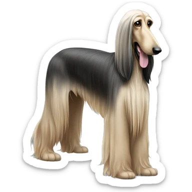 afghan hound sticker