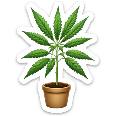 Cannabis  sticker