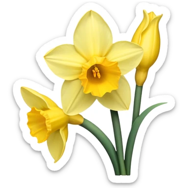 Daffodils flower  sticker