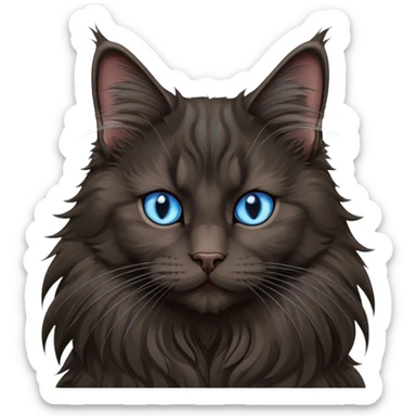 Black Maine coon with blue eyes  sticker