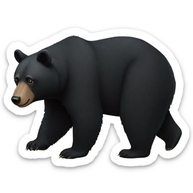 black bear symbol sticker
