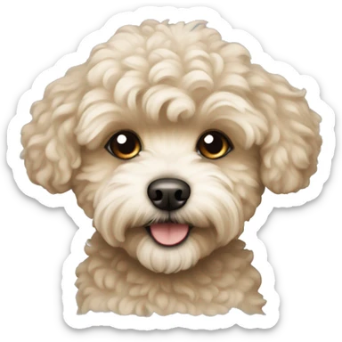 beige maltipoo dog sticker