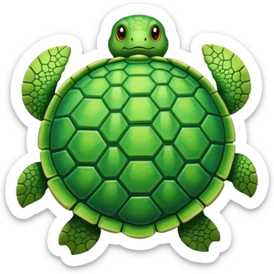 Tartaruga  sticker