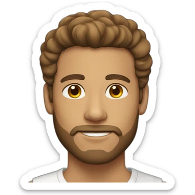 man beardless brown hair light skin sticker